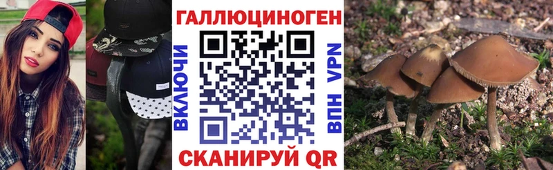 Псилоцибиновые грибы Cubensis  hydra онион  Остров 