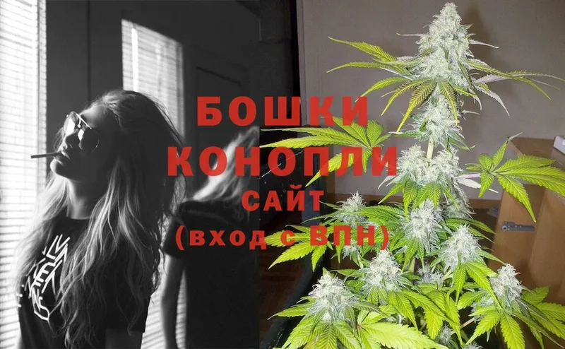 Шишки марихуана OG Kush  цены наркотик  Остров 